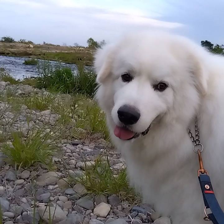 F6881bc8 44e6 4d92 a948 2338947113d6 1683281632687