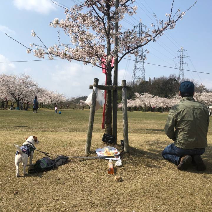 F688269c 9f88 4acf a595 ac42b9978001 1554524273155