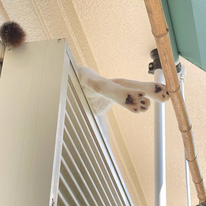 F68840ea 5a3c 4fc5 8245 3d25d143bd1b 1627696715989