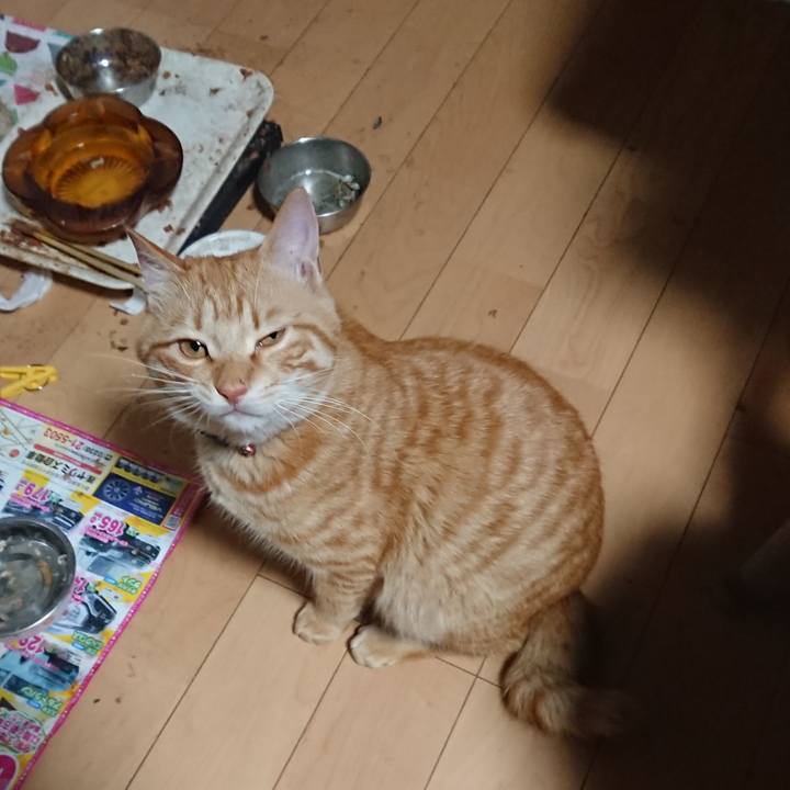 F688636a cbfe 435a 8dea b1210a4ead7e 1647203678532