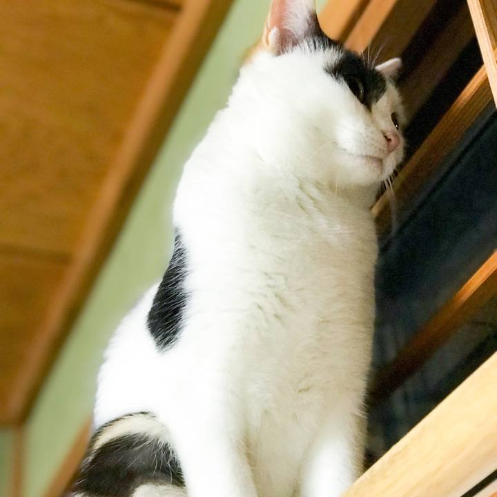 F6886fbe 01ee 4e94 b13d ede63b45a0a7 1515681660404