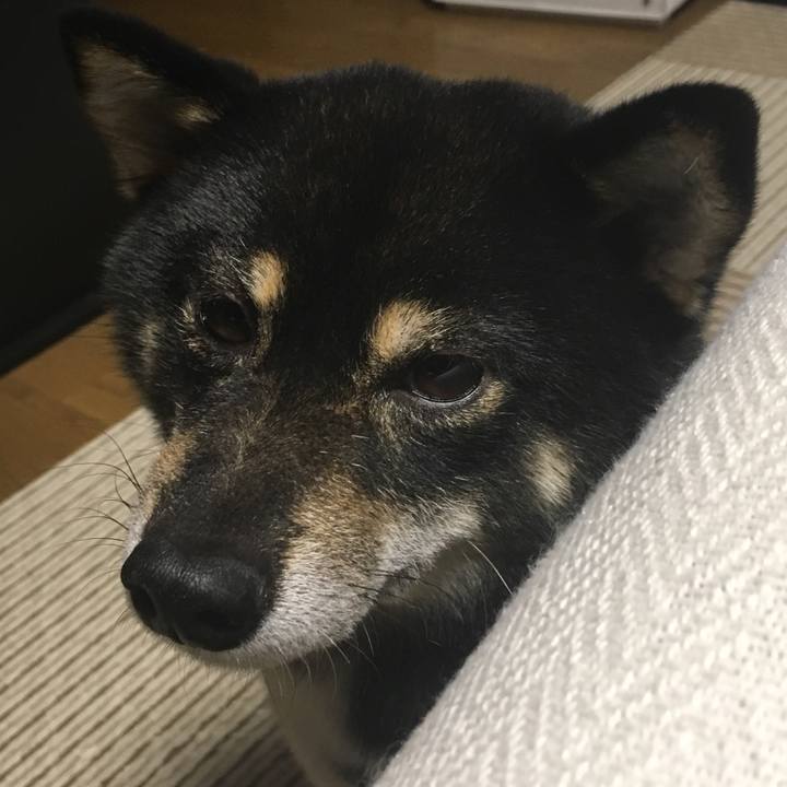 F68894b9 10f3 4546 83ce f6827dcc6d98 1509666312871