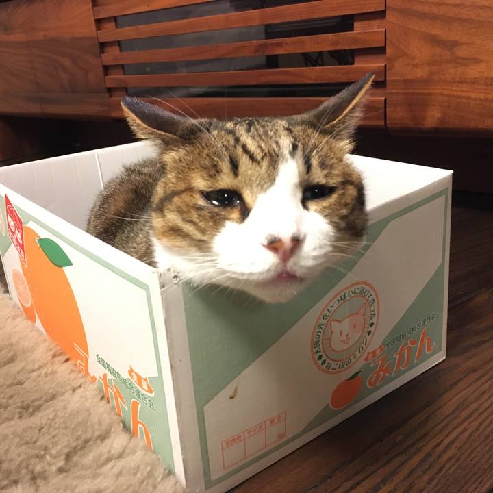 F6889c97 3553 4f1a 92ad 2201dbe23d4e 1562758325882