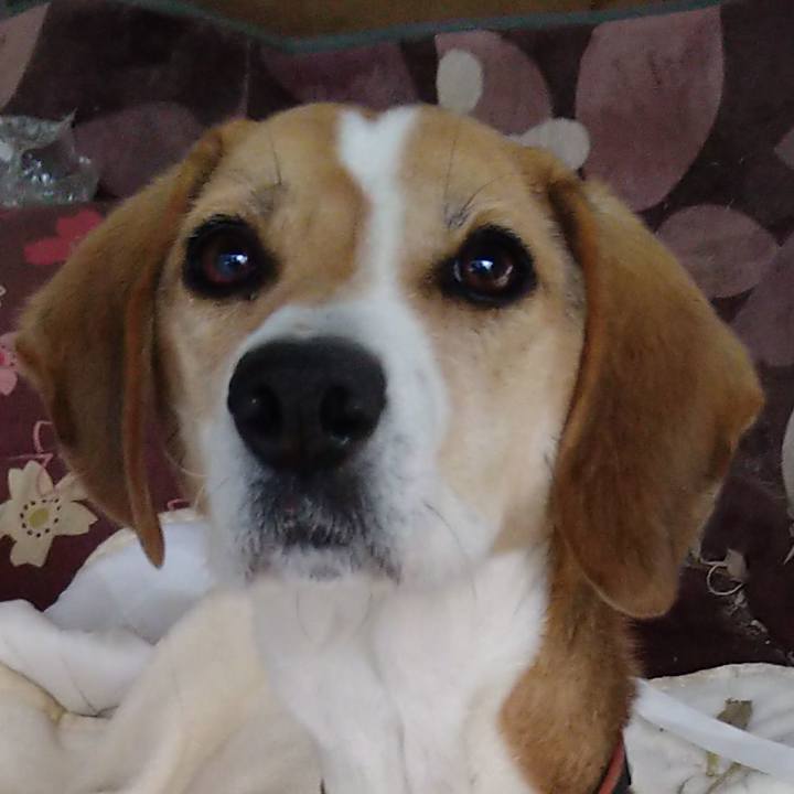 F688ad06 0eab 4e91 bde5 4d6b0626db07 1646750037936