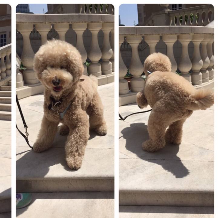 F688ef31 3edb 4bbf a45f 85268805128f 1551621624741