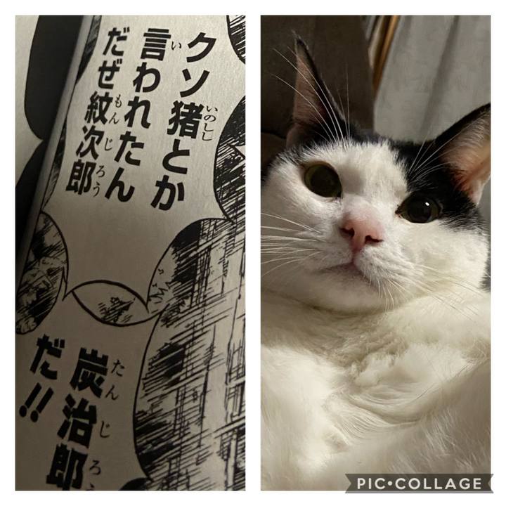 F688f6f2 a4b4 4584 a277 5c4ccadafddc 1604572665852