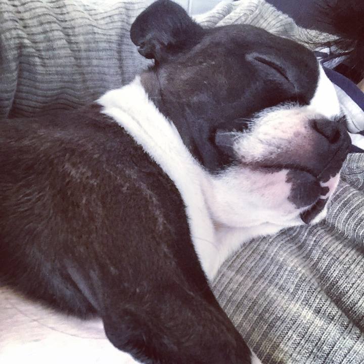 F688f87c 47b5 4be4 b0e8 f08baebaa321 1527398213544