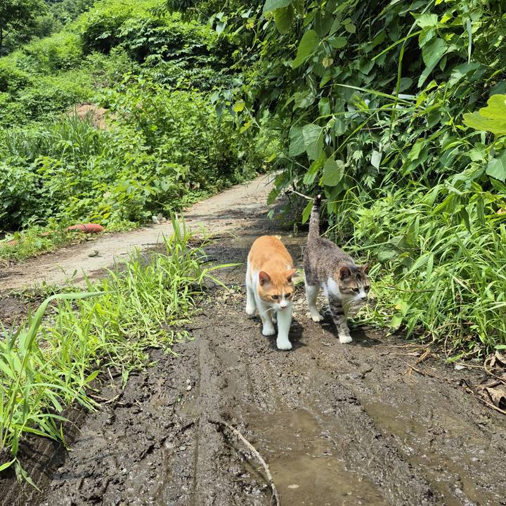 F68908d6 b133 4230 b047 7c49cadf5723 1751450220271