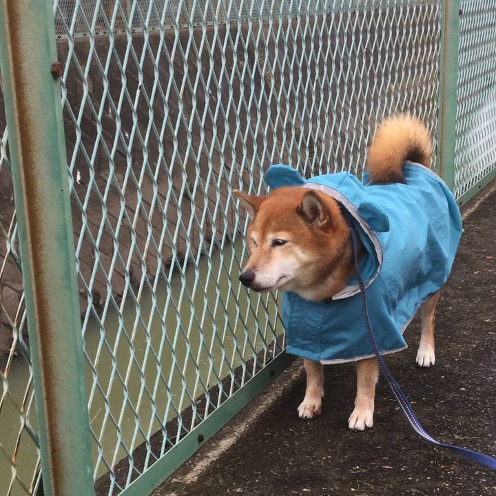 F68939fc 06a3 4fc2 8043 c34043e3919a 1571013027146