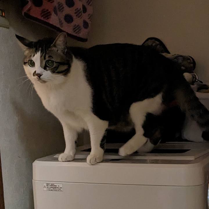 F6894cf7 aca3 4aea bf15 b16be14d94a8 1675768852201