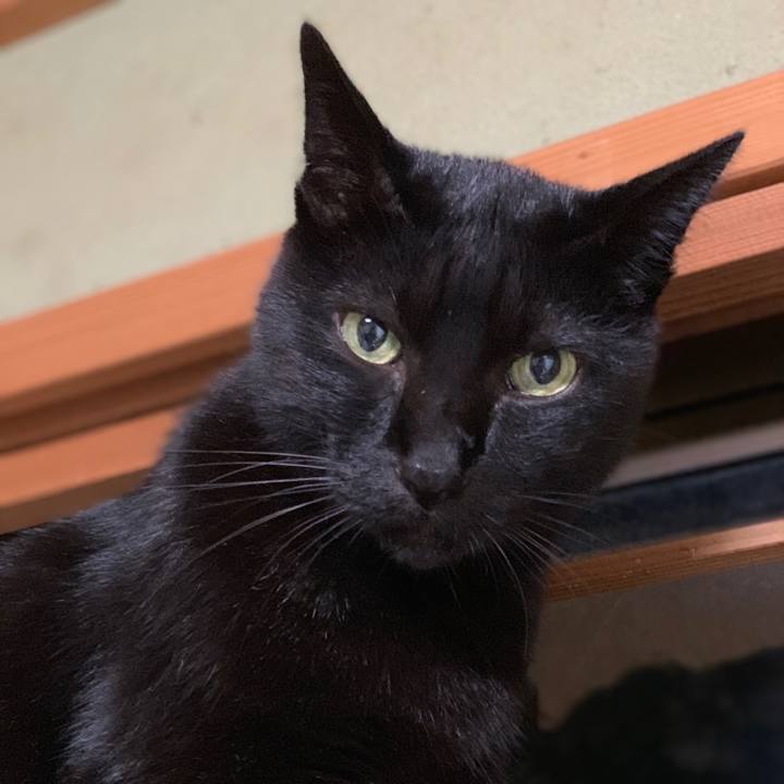 F6895039 3fe8 4e10 8d9d 80d7ad226037 1539823347041