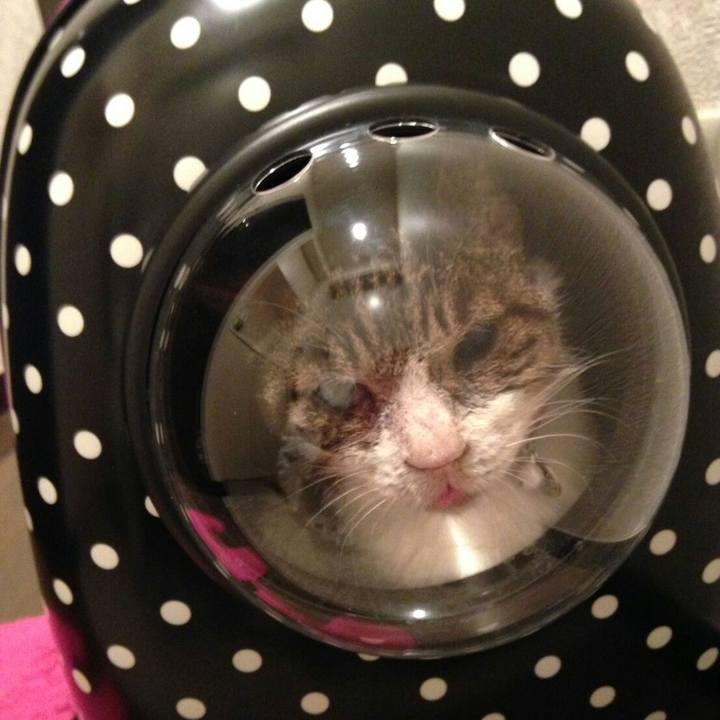 F6897340 674c 4328 a137 5873f4496468 1590034951744