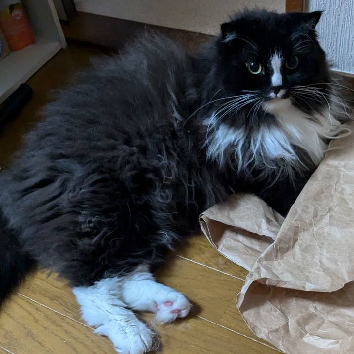 F68994fa 970c 4c1a b6e5 a71666aac4ac 1728602330898