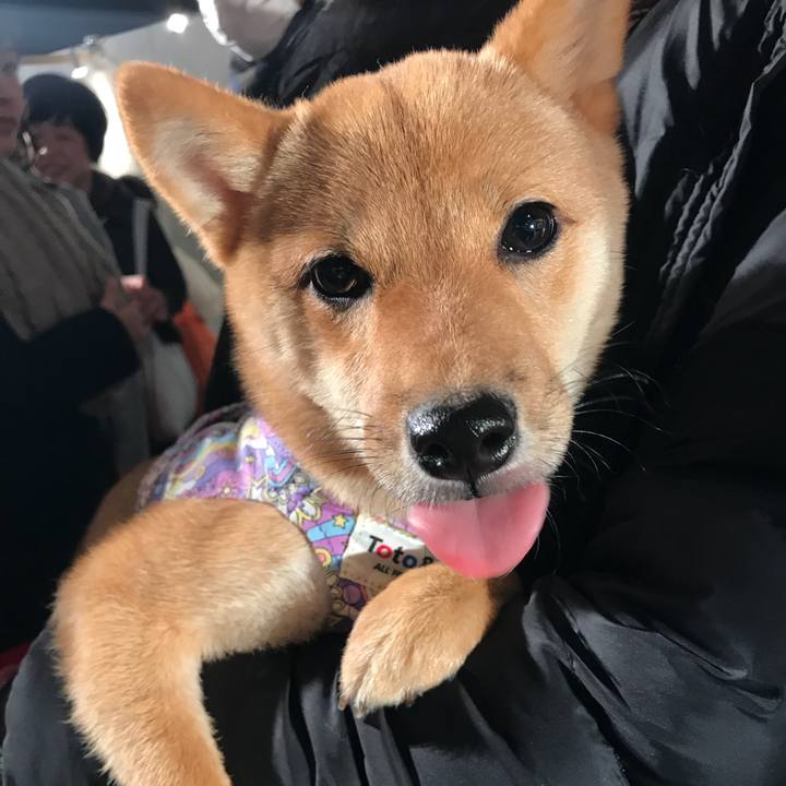 F689dd9c 0327 4a95 ac3e c62f40134199 1511187016418