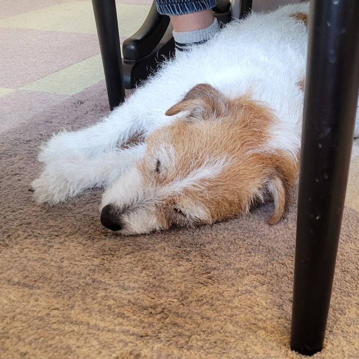 F689df19 b77d 44d5 956b 90e386d9a7da 1747960832870