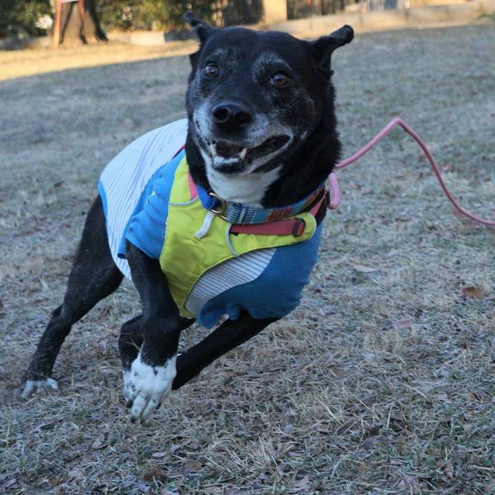 F689f96b d8b9 46b3 a338 ea04670e26aa 1769213950551