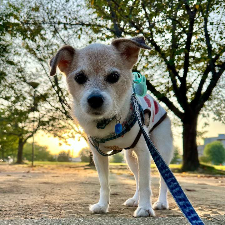 F689fb16 6105 4d74 a7c9 49482449d8eb 1758063006828