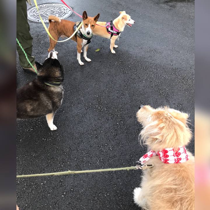 F68a0397 c186 4edb a802 7f61780a4d1f 1626150390499