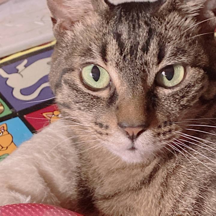 F68a21aa d159 4915 9d56 45648be3cf95 1657192865906