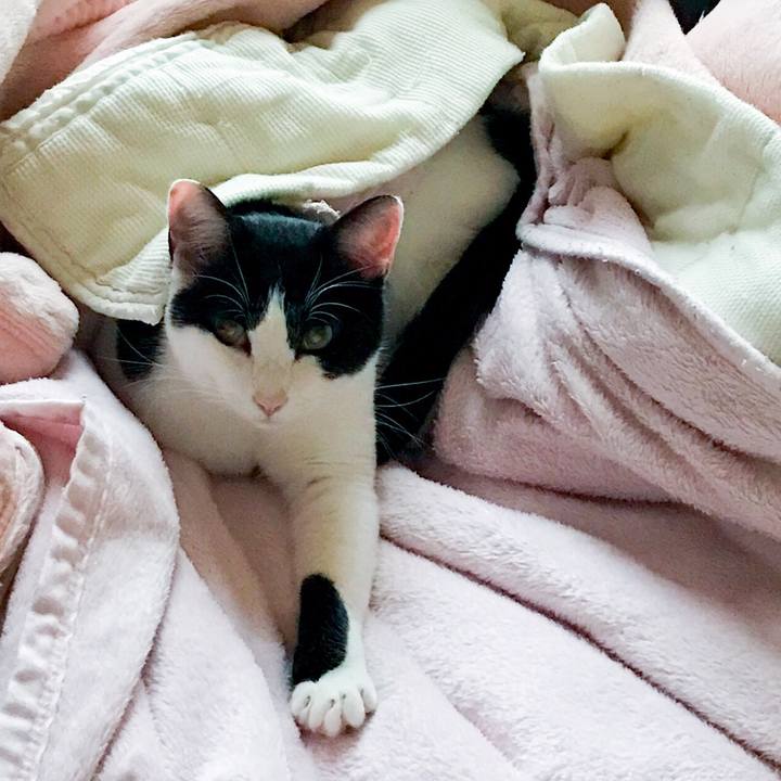 F68a2aa6 cc3d 42ed 9514 3efd289dc039 1511053377715