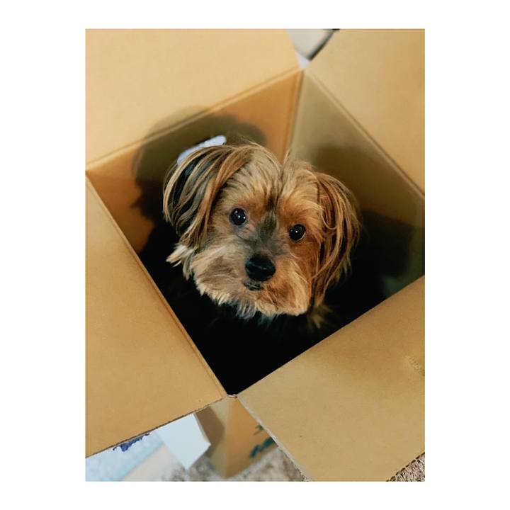 F68a359f 7942 4c2a b83d 7caf718ec9a7 1564180849793