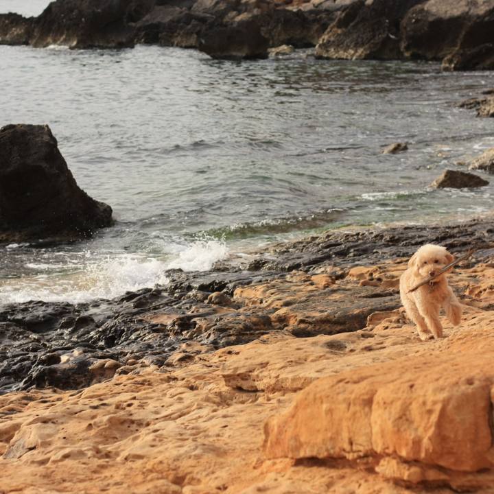 F68a6753 2293 495b b7e6 a9e450d19756 1527777574925