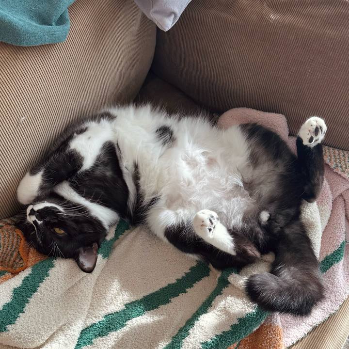 F68a694a 22bb 47e0 a9c9 6c9cb7a0e2dc 1767439414034