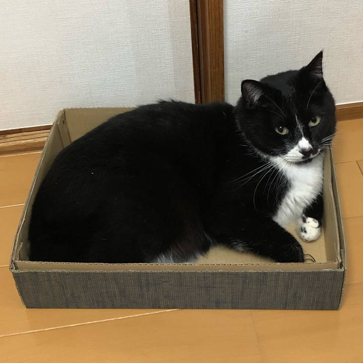 F68a6bf6 4796 4307 8a43 23b82ac63ce4 1579751231048