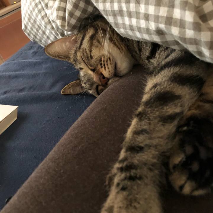 F68a750e 7bef 4ee0 b0d5 6e28aa019a1b 1519350324047