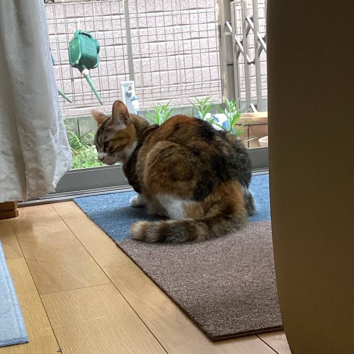 F68a8ebd 641a 4616 bd26 6c11acf40273 1658446073915