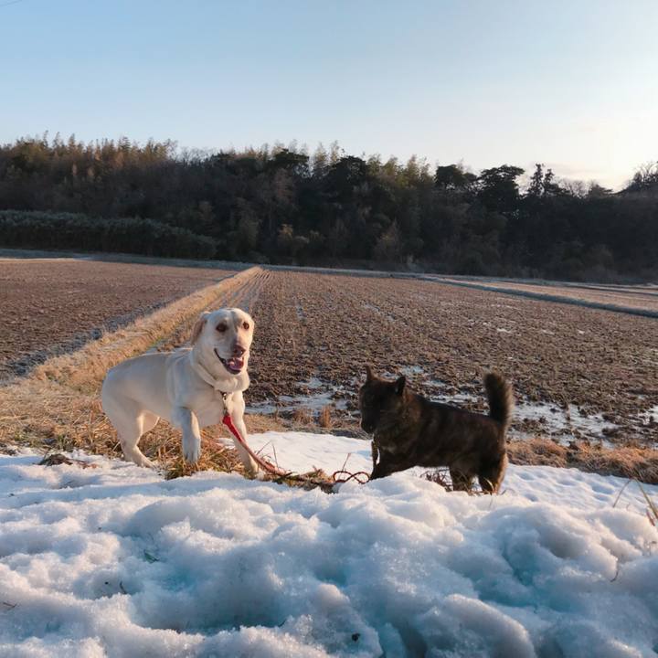 F68ad3d2 db72 4673 ada8 c6b238a1457f 1519621322189