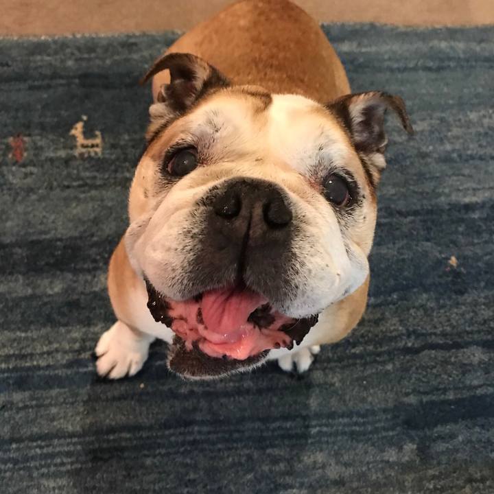 F68af492 a594 43be 8884 781e1356282c 1653312391112