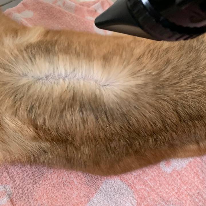 F68b0fe4 5a0a 4672 a451 c72c4c56c56a 1566878273923