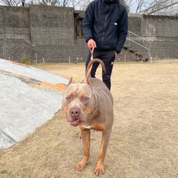 F68b2193 f91d 46b0 8134 eb4de91da96a 1674210824634