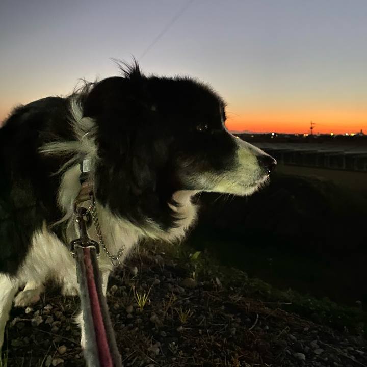 F68b2758 a974 48a1 aa4a 7399f2a22ed3 1700911112279