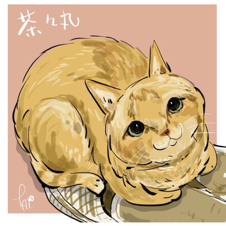 F68b3740 3ab0 461d ad5d fcb500aa8ed7 1713568347198