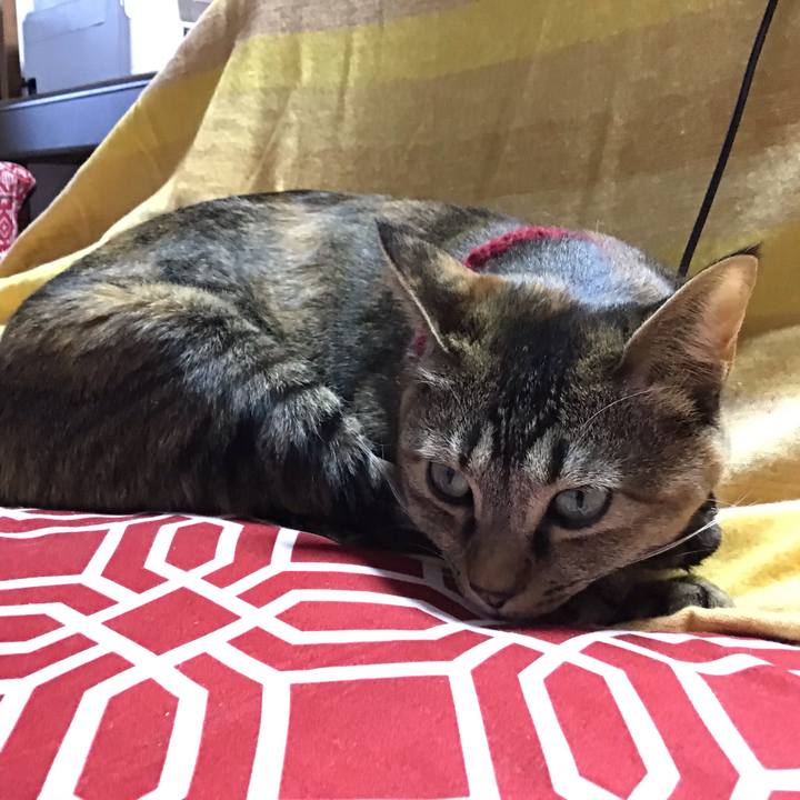 F68b46ec c7eb 4a1b abb5 fb227a4805ef 1611303755447