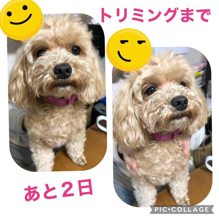 F68b540b da95 4c85 abfd 4a34ddc1db30 1621441510805