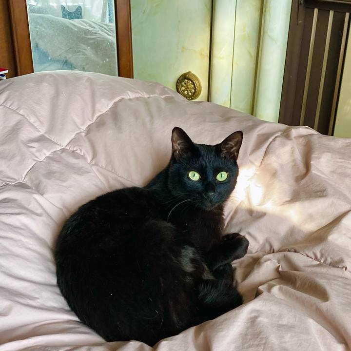 F68b9fa6 3702 4164 bcda fc3915b20e46 1712992525321