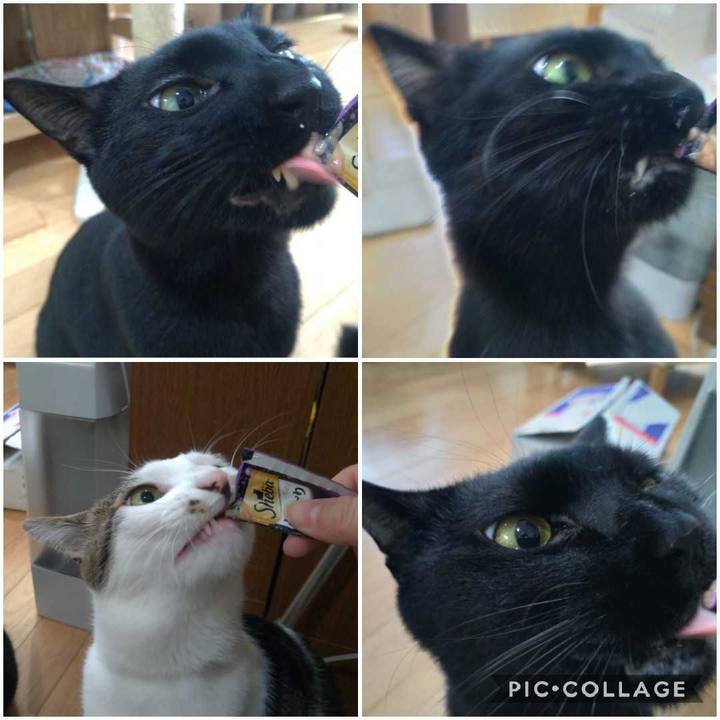 F68ba081 b1fb 41b7 a4c8 7e13ac288a9a 1552703857682