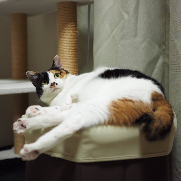 F68bb41c c9a4 4813 89e7 95adac219039 1530833966732