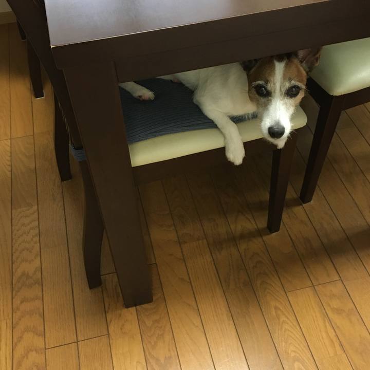 F68bba86 1973 473b b9e9 eeaac07b747a 1595033066076