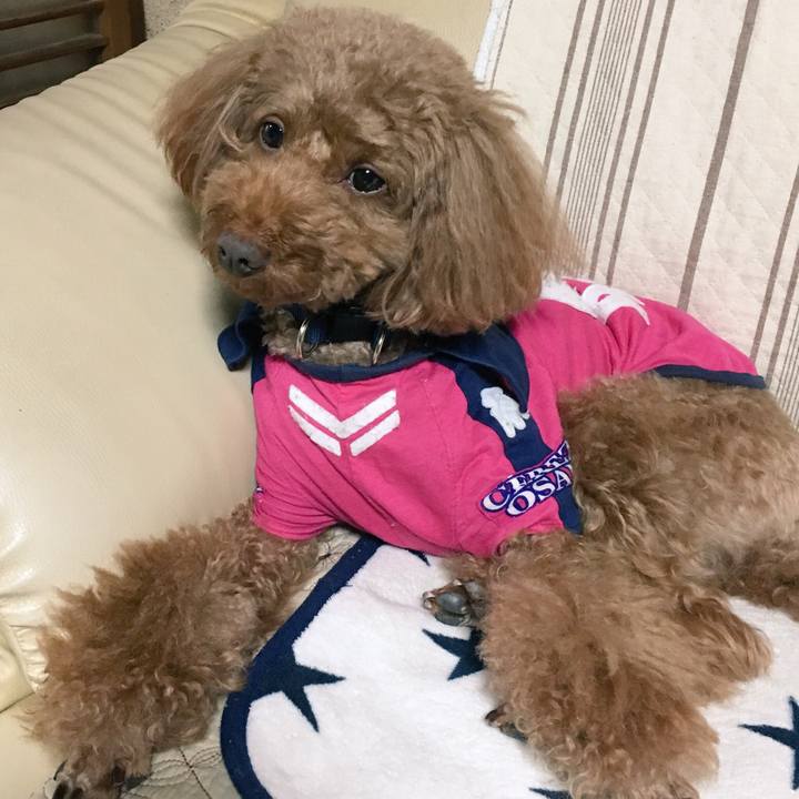 F68bc4ca 3272 46df a754 76b815a748b3 1539998094118