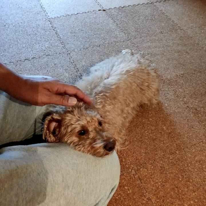 F68c0c8c e372 441f 8cf7 33ace12a5027 1607343413271