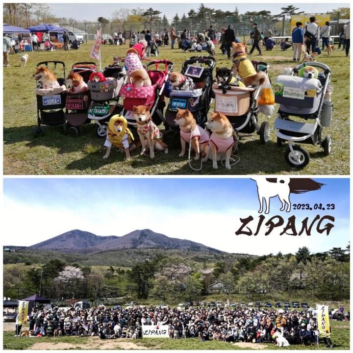 F68c6f93 c153 424b 8423 20d139ffe628 1682478359138