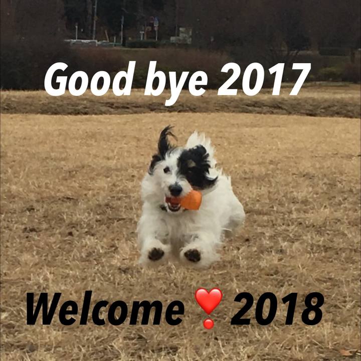 F68c7f71 5c43 4229 b6a4 2b87ce9f8086 1514686820706