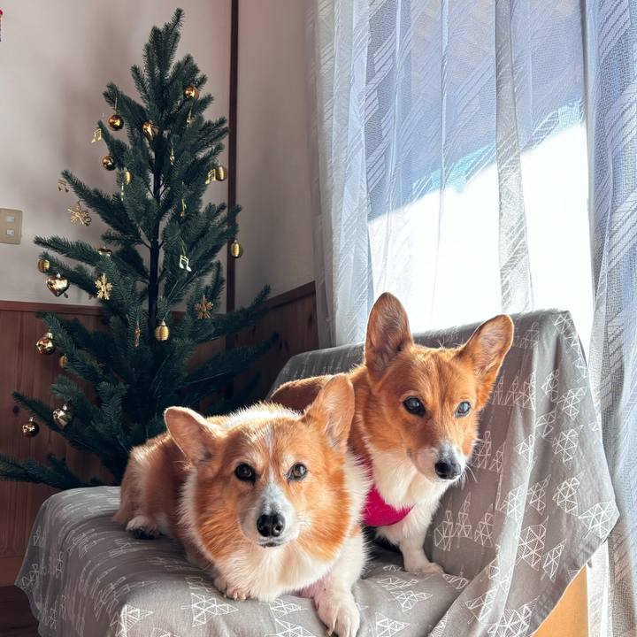 F68c927a ad4a 4125 8b69 674079109c9f 1735122145361