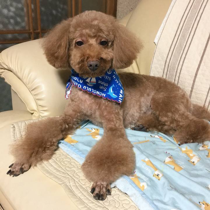 F68c99d5 878d 4a42 b216 927632811803 1535777538975