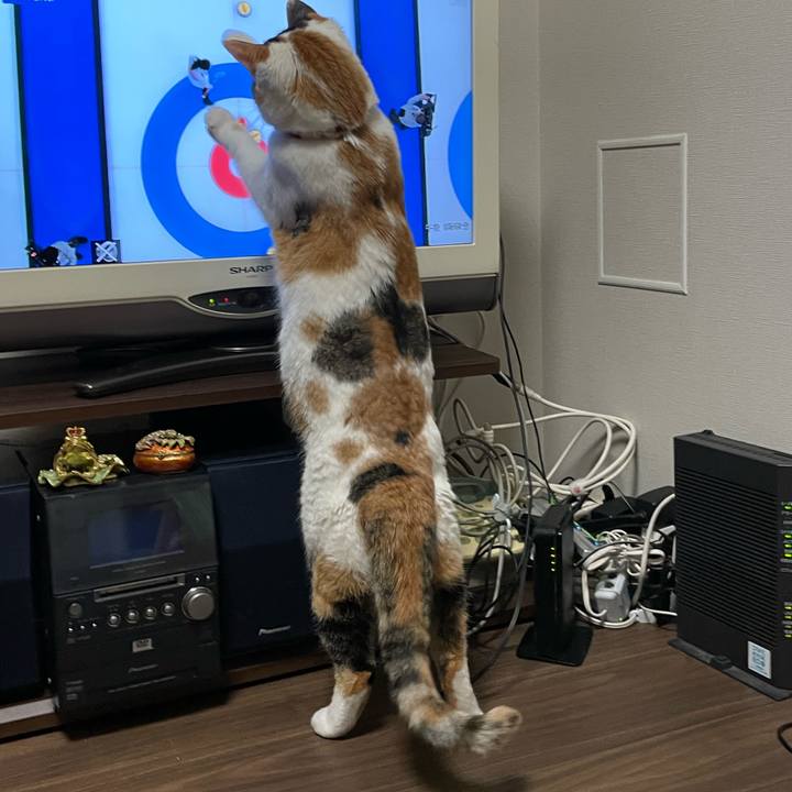 F68cc963 2a5a 4b2b b94b 2f926aad1dd1 1644844041724