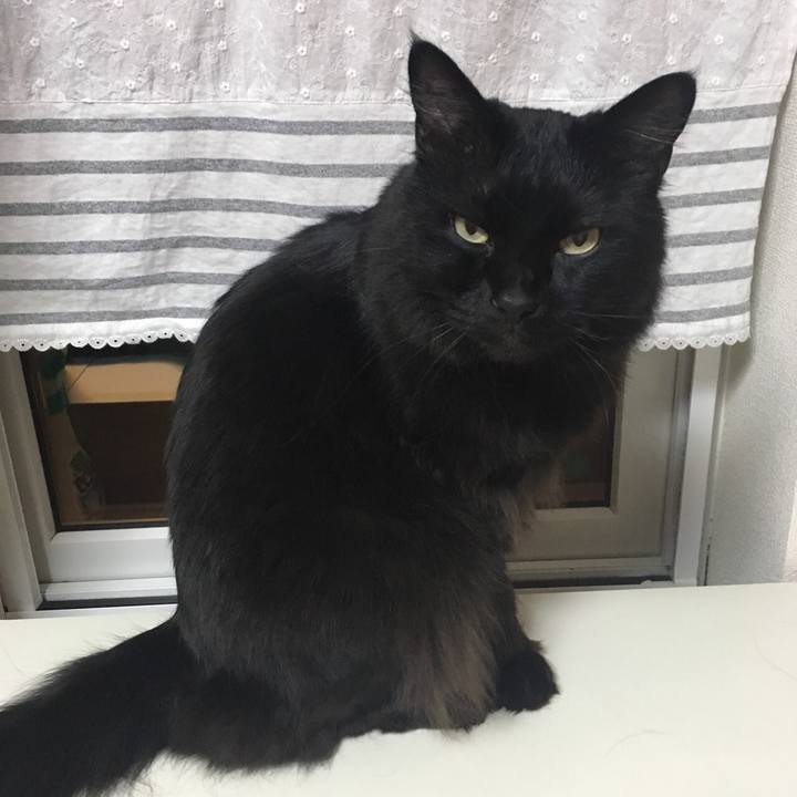 F68cd05e 6634 42ee ab6c fa38be16ec77 1527080114506